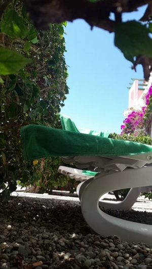 mario84luci 15-05-2019  Recorded Video Download