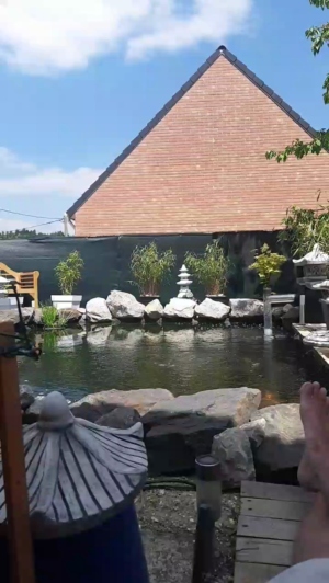 grosseteubxo 16-05-2019  Recorded Video Free