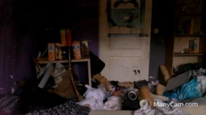 chasexmayhe3 17-05-2019  Recorded Video Download