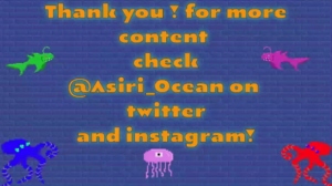 asiri_ocean 19-05-2019 Webcam  Recorded Topless