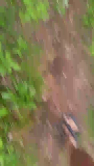 michi48a 20-05-2019  Recorded Video Cam