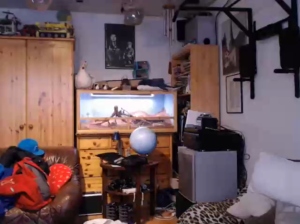 yummyalexxx 22/05/2019 Chaturbate