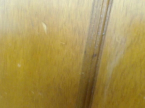 andresxdirty 26-05-2019  Recorded Video Webcam
