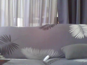 diego1343 01-06-2019  Recorded Video Cam