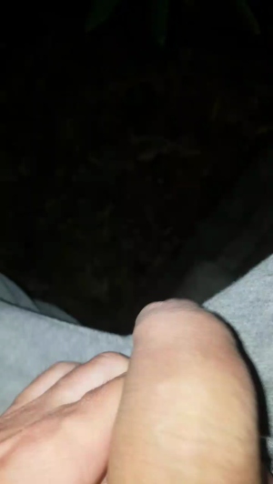 stipe 01-06-2019  Recorded Video XXX