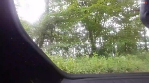 exebod2 02-06-2019  Recorded Video XXX