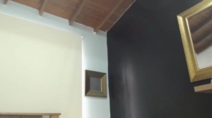 gina_akemi  02-06-2019 Recorded Toys