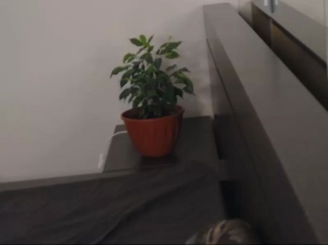 natan_best 05-06-2019  Recorded Video Porn
