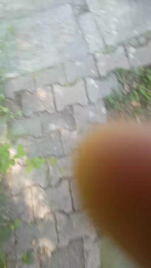 stipe 06-06-2019  Recorded Video Webcam