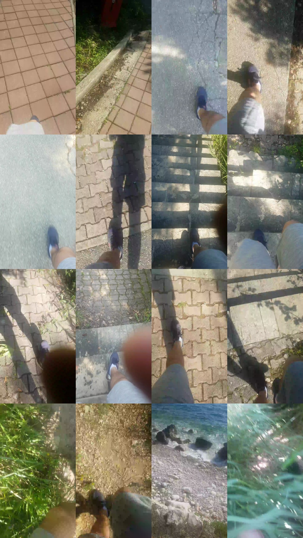 stipe 06-06-2019  Recorded Video Webcam
