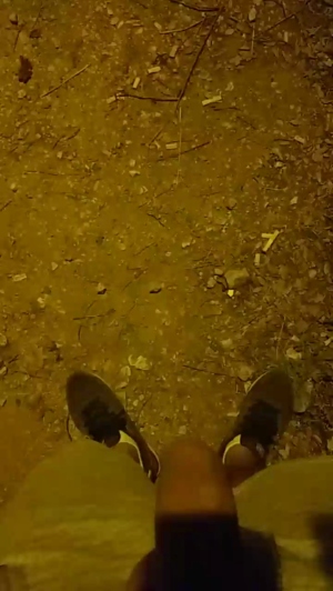 stipe 06-06-2019  Recorded Video Toys