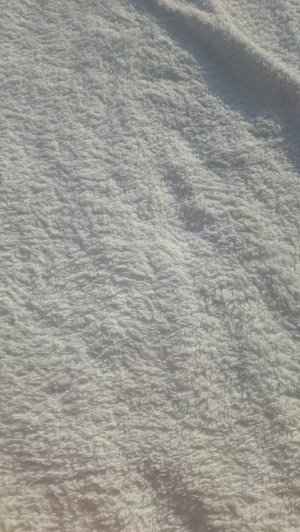 stipe 07-06-2019  Recorded Video Download