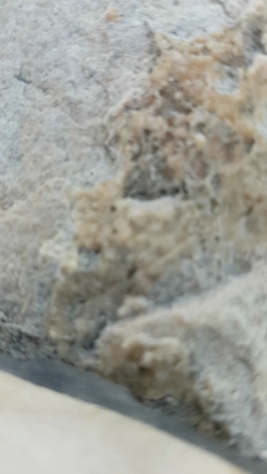 stipe 13-06-2019  Recorded Video Cam