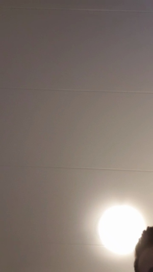 diego1343 14-06-2019  Recorded Video Topless
