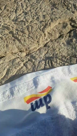 stipe 21-06-2019  Recorded Video Show