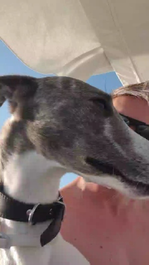 hugo4k 22-06-2019  Recorded Video Show