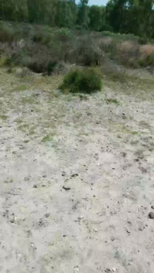 outdoorcruis 27-06-2019  Recorded Video Show