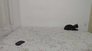 casalvinte5 28-06-2019  Recorded Video XXX