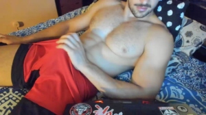 frenzis61 29-06-2019  Recorded Video Toys