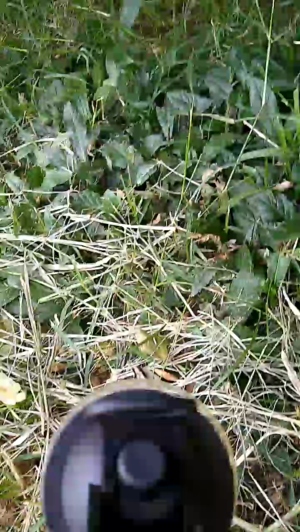 fitstudblack 30-06-2019  Recorded Video Download