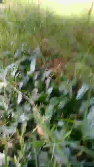 fitstudblack 02-07-2019  Recorded Video Cam