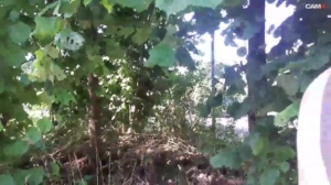 encostard 08-07-2019  Recorded Video Porn