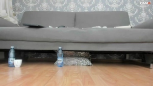 charlotte105  09-07-2019 Recorded Naked