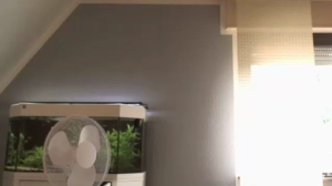 ronhill13 09-07-2019  Recorded Video Download
