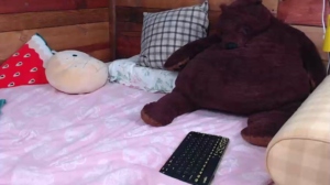 mia_and_sammy  12-07-2019 Recorded Webcam