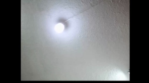 fiotti 13/07/2019 Chaturbate
