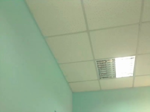 rylly_mylly  19-07-2019 Recorded Toys
