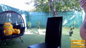 patrascanu333  20-07-2019 Recorded Show