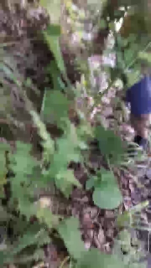 kerimtekin53 23-07-2019  Recorded Video Naked