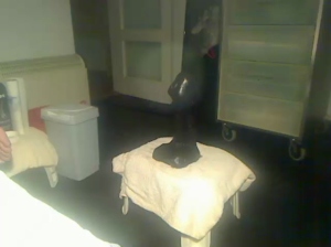 ffguy50 24-07-2019  Recorded Video Free