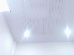 vickypetitee  25-07-2019 Recorded Free