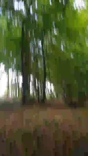 totof562 25-07-2019  Recorded Video Toys