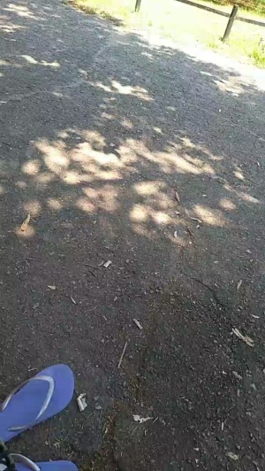 jinjerslave  26-07-2019 Recorded Video