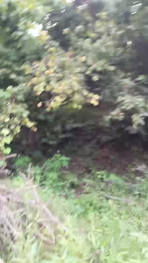 kerimtekin53 31-07-2019  Recorded Video Free