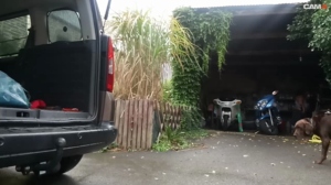 lepamplemous 31-07-2019  Recorded Video Naked