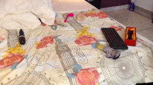 salome_cutee  02-08-2019 Recorded Porn