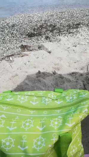nakedsuck 04-08-2019  Recorded Video Download