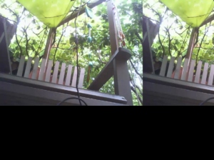 _shishabar 04-08-2019  Recorded Video Cam