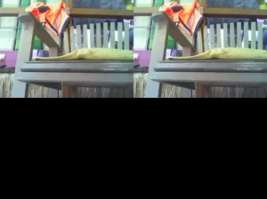 _shishabar 08-08-2019  Recorded Video Webcam