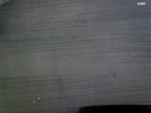 whitemuscle4 13-08-2019  Recorded Video Porn