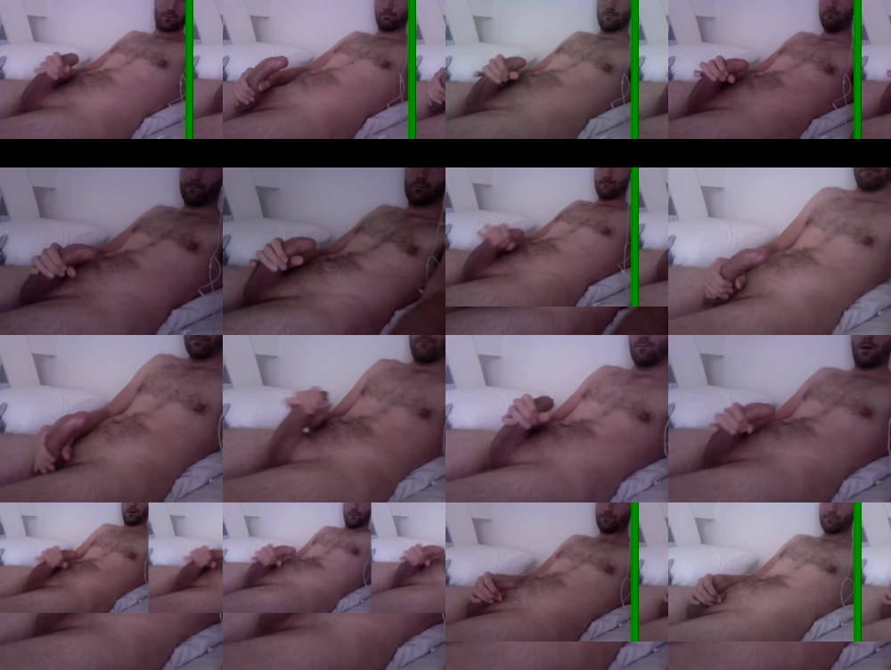 lijster 15-08-2019  Recorded Video Webcam