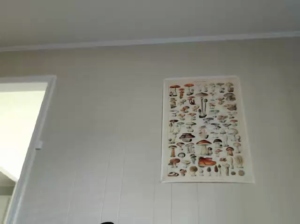 kipsy420  15-08-2019 Recorded Naked