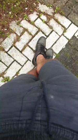 brabo24 17-08-2019  Recorded Video Free