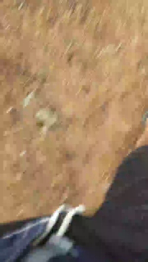 brabo24 18-08-2019  Recorded Video Cam