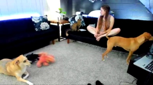 tinydancer0107  19-08-2019 Recorded Video