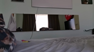 nylononpenis 22-08-2019  Recorded Video Download